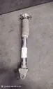 Rear shock absorber/damper