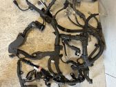 Other wiring loom