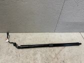Tailgate/trunk strut/damper