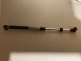 Front bonnet/hood damper/strut