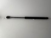 Amortiguador/puntal del capó/tapa delantero