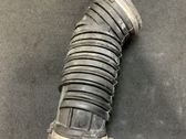 Manguera/tubo del intercooler