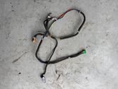 Other wiring loom