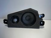 Rear door speaker