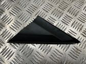 Fender trim (molding)