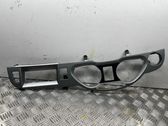 Dashboard trim