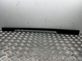 Front sill trim cover