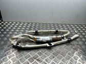 Roof airbag