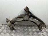 Front lower control arm/wishbone