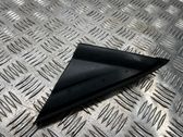 Fender trim (molding)