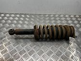 Amortiguador trasero con muelle espiral