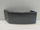 Rear/tail light trim molding