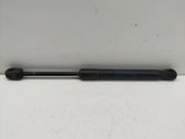 Front bonnet/hood damper/strut