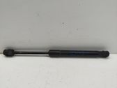 Front bonnet/hood damper/strut