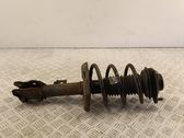 Front shock absorber/damper
