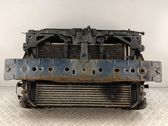 Radiator set