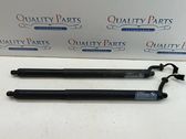 Tailgate/trunk strut/damper