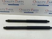 Tailgate/trunk strut/damper