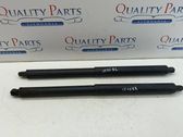 Tailgate/trunk strut/damper