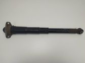 Stoßdämpfer hinten