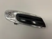 Front fender indicator light