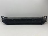 Intercooler radiator