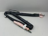 Roof airbag