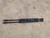 Tailgate strut