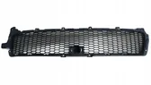 Front bumper lower grill