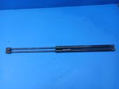 Front bonnet/hood damper/strut