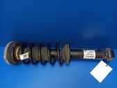 Rear shock absorber with coil spring