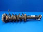 Rear shock absorber with coil spring