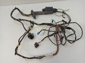 Front door wiring loom