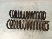 Front coil spring