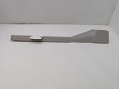 Front sill trim cover