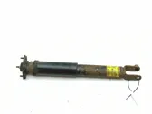 Rear shock absorber/damper