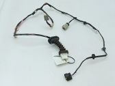 Rear door wiring loom