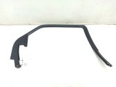 Rear door glass trim molding