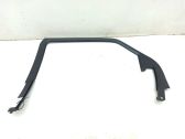 Rear door glass trim molding