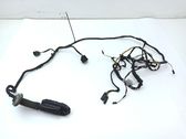 Rear door wiring loom