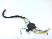 Other wiring loom
