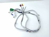 Other wiring loom