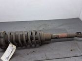 Front shock absorber/damper