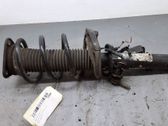 Front shock absorber/damper
