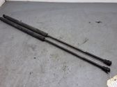 Tailgate/trunk strut/damper
