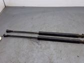 Tailgate/trunk strut/damper