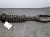 Front shock absorber/damper