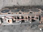 Culata del motor
