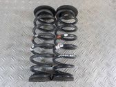 Rear coil spring