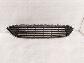 Atrapa chłodnicy / Grill